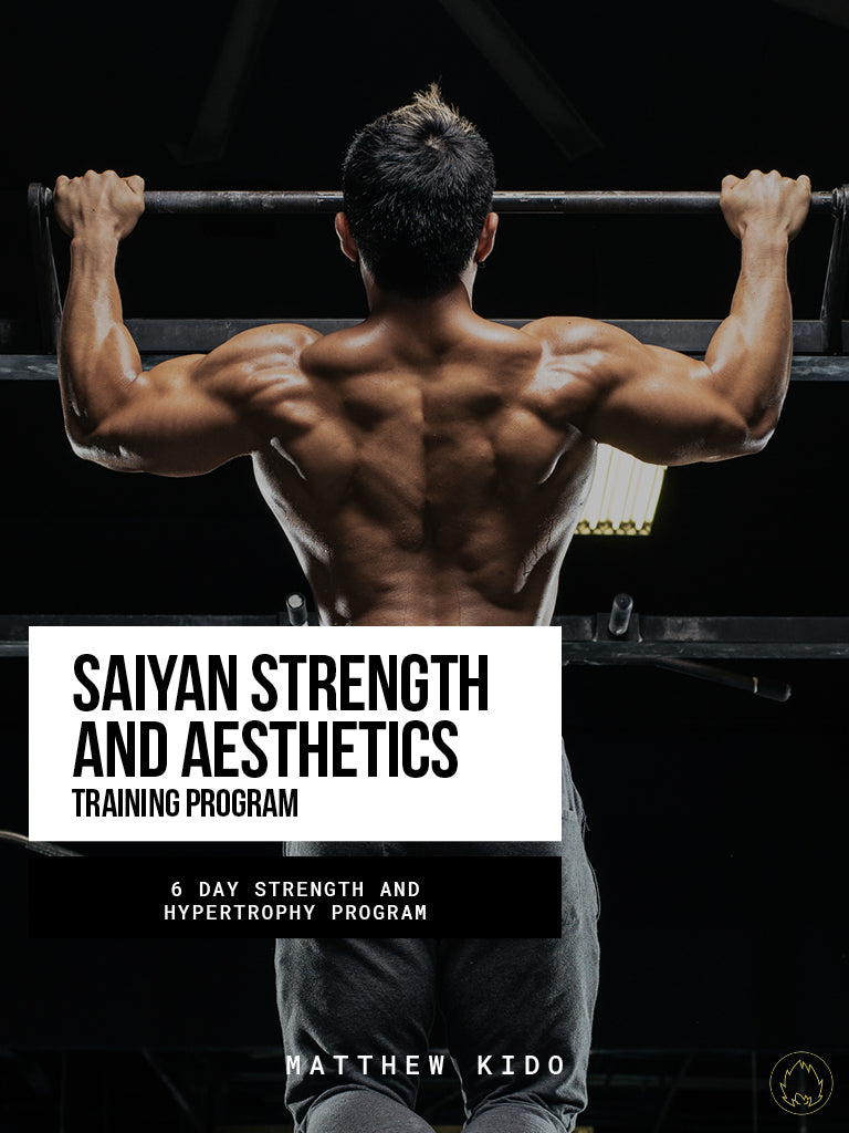 Saiyan Strength & Aesthetics Program